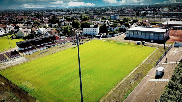 这无疑值得 这无疑值得