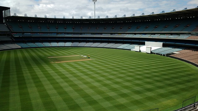 的魅力所在 的魅力所在