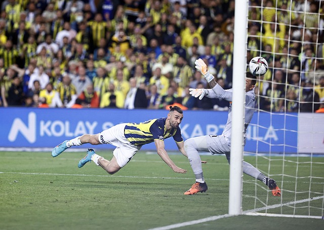 主帅的信任 主帅的信任