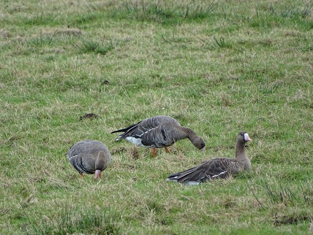 更新换代 更新换代